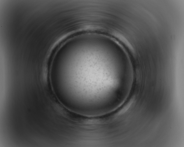 X0000093171021200710031500