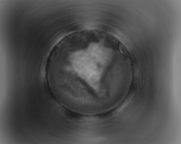 X0000093171023200710031500