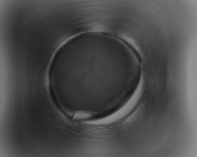 X0000093171024200710031500