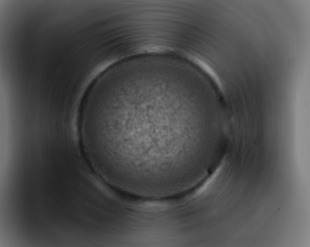 X0000093171026200710031500