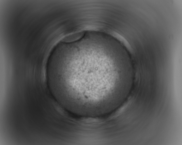X0000093171027200710031500