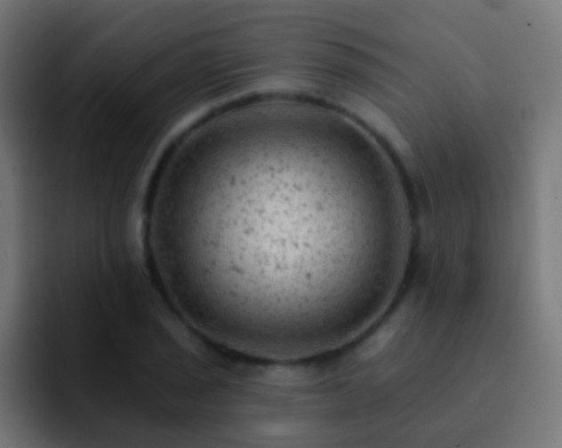 X0000093171029200710031500
