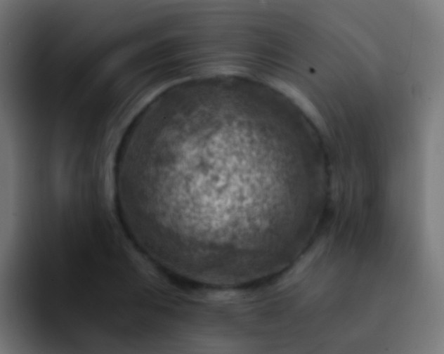 X0000093171031200710031500