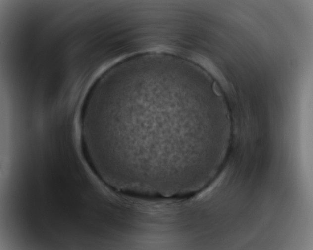 X0000093171032200710031500