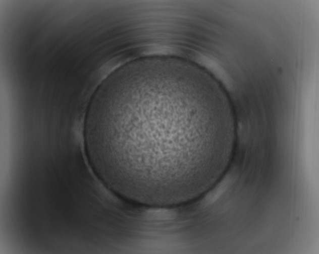 X0000093171033200710031500
