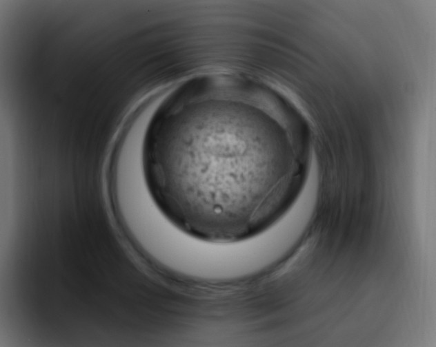 X0000093171034200710031500