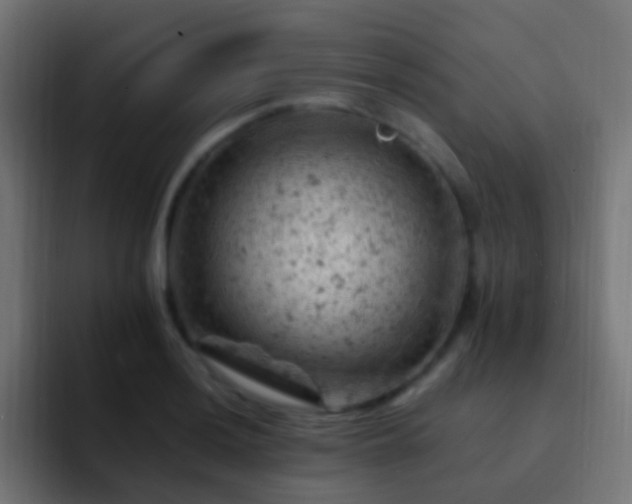 X0000093171036200710031500