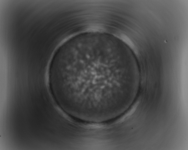 X0000093171037200710031500