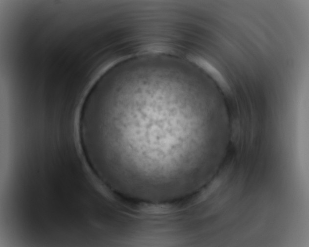 X0000093171039200710031500