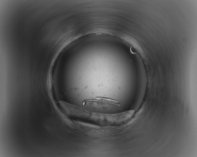 X0000093171040200710031500