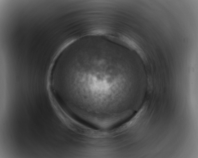 X0000093171042200710031500