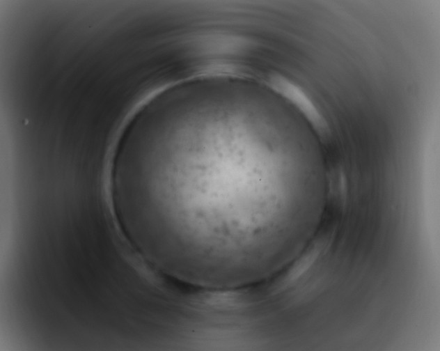 X0000093171043200710031500