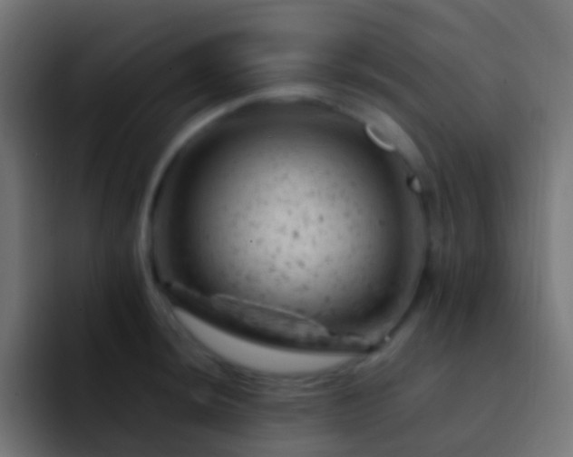 X0000093171044200710031500
