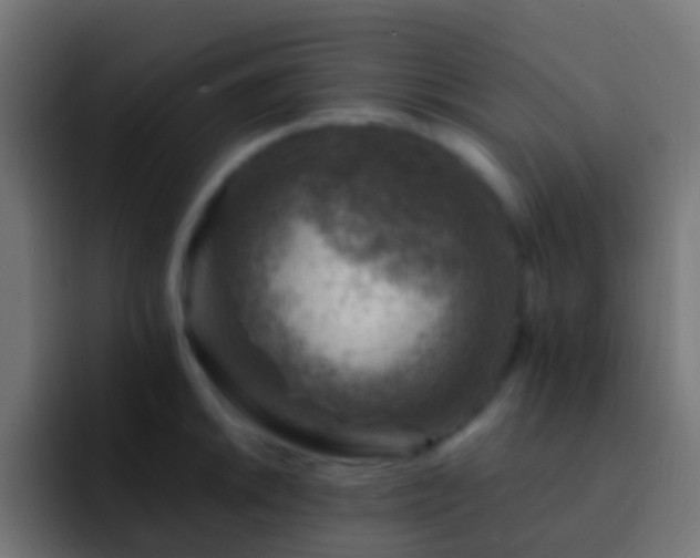 X0000093171046200710031500