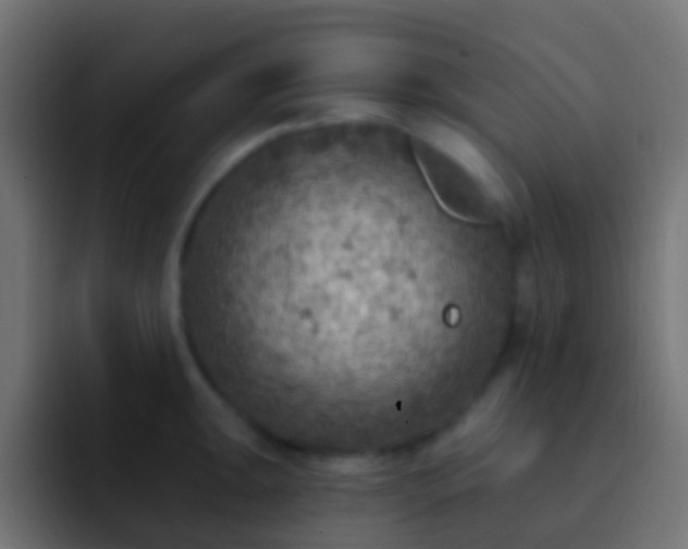 X0000093171047200710031500