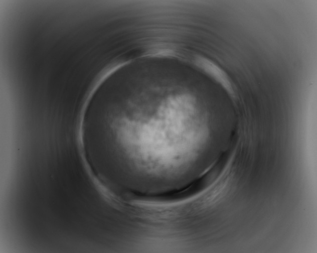 X0000093171050200710031500