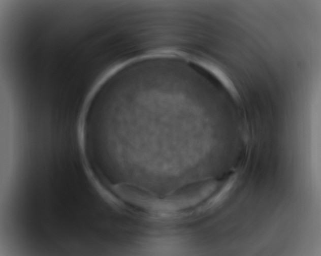 X0000093171054200710031500