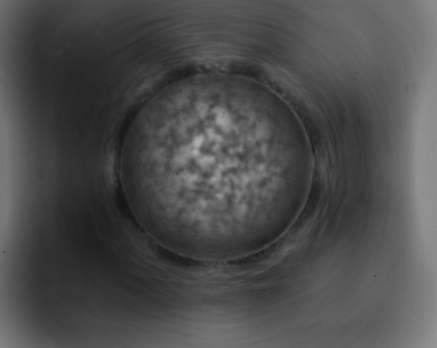 X0000093171060200710031500