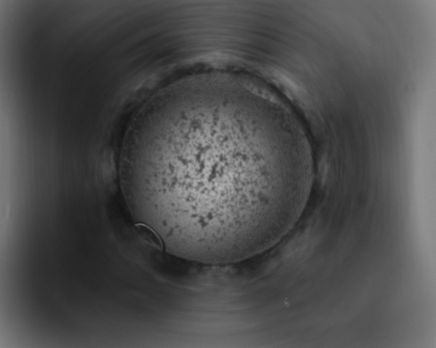 X0000093171062200710031500