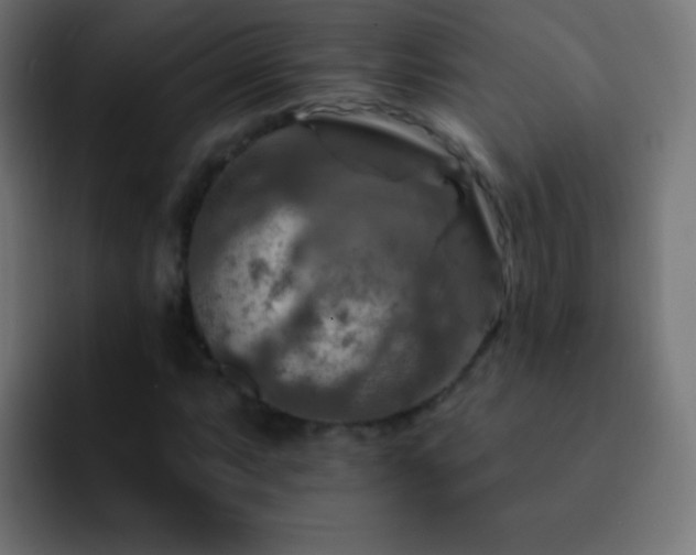 X0000093171063200710031500