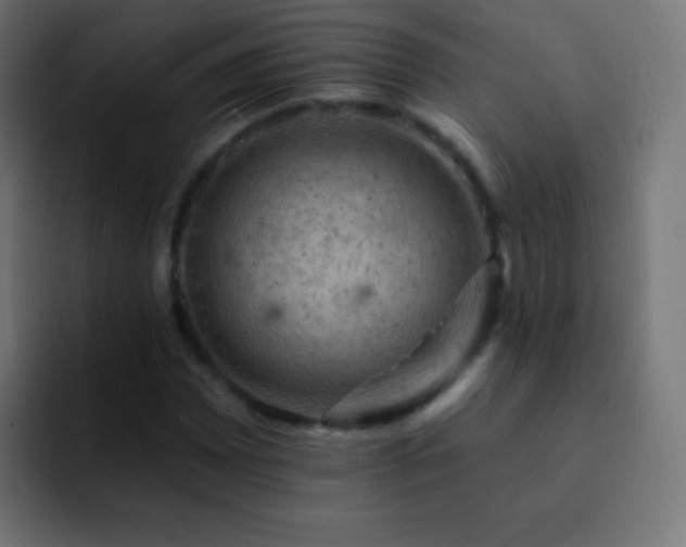 X0000093171065200710031500
