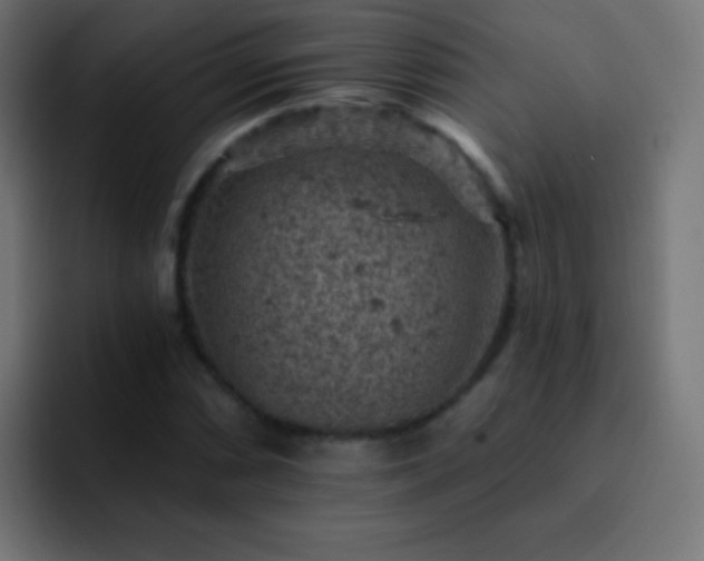 X0000093171066200710031500