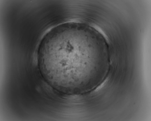 X0000093171067200710031500