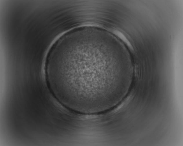 X0000093171068200710031500