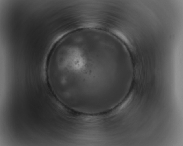 X0000093171071200710031500