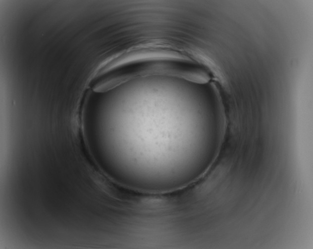 X0000093171073200710031459