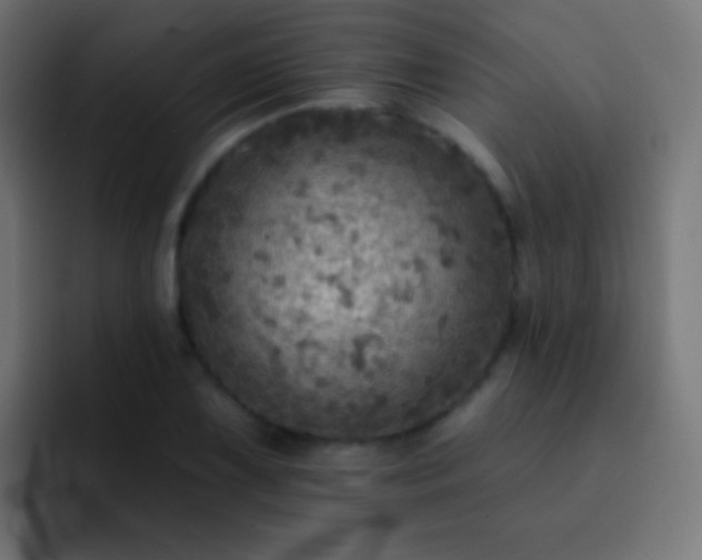 X0000093171075200710031459