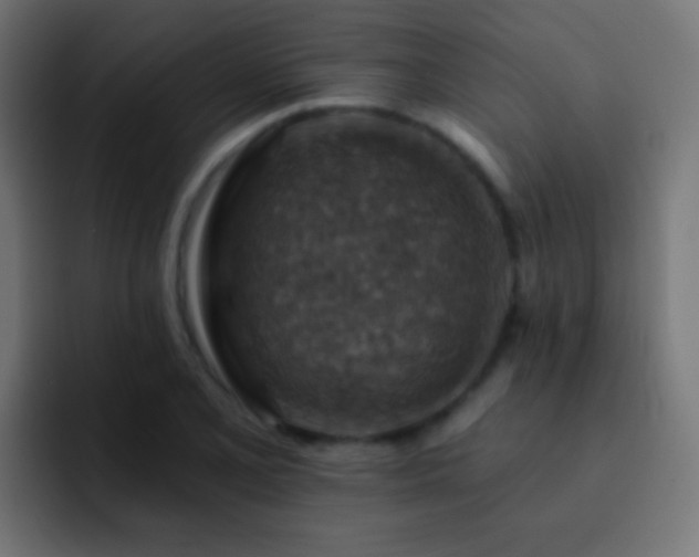 X0000093171077200710031459
