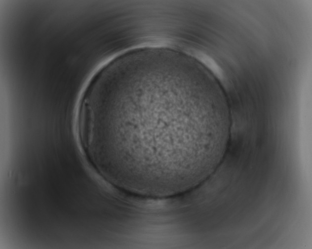 X0000093171080200710031459