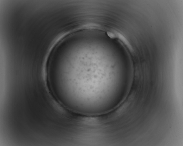 X0000093171082200710031459