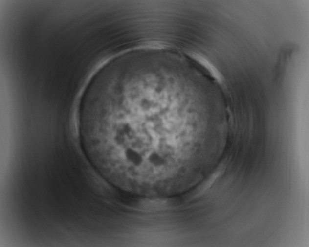 X0000093171083200710031459