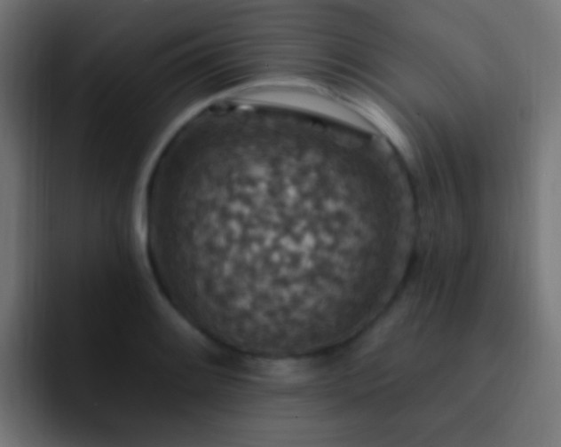 X0000093171084200710031459