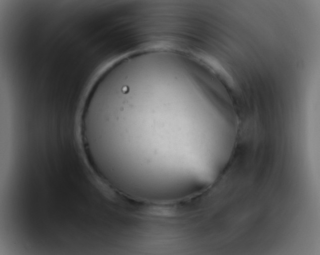 X0000093171086200710031459