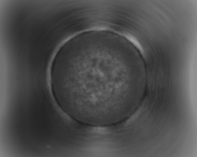 X0000093171088200710031459