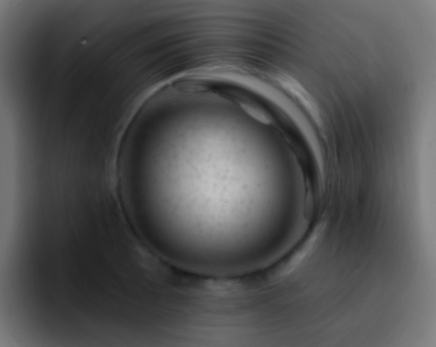 X0000093171089200710031459