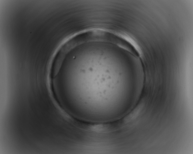 X0000093171093200710031459