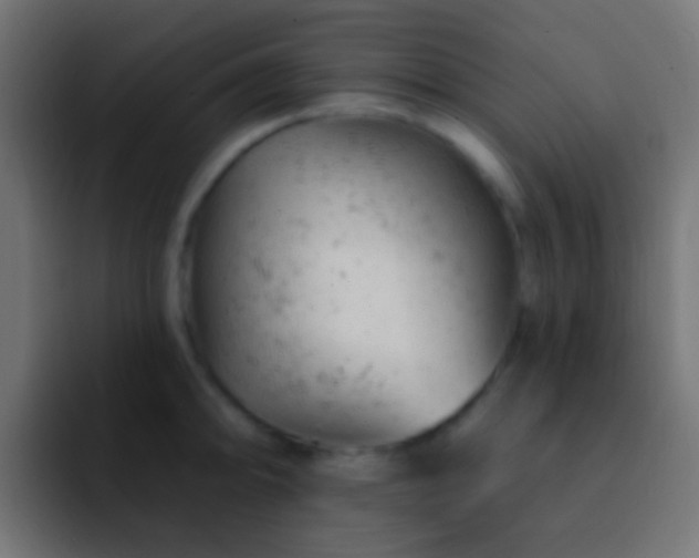 X0000093171094200710031459
