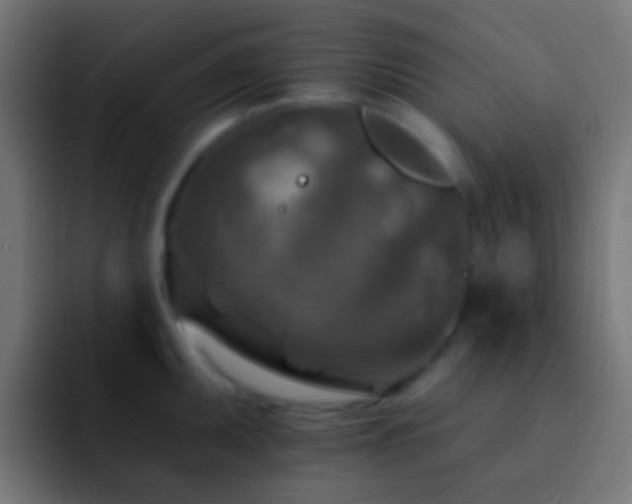 X0000093171095200710031459
