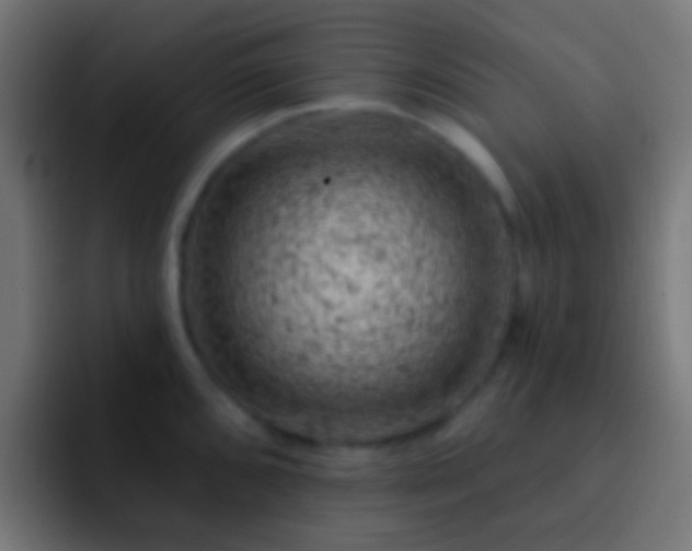 X0000093171096200710031459