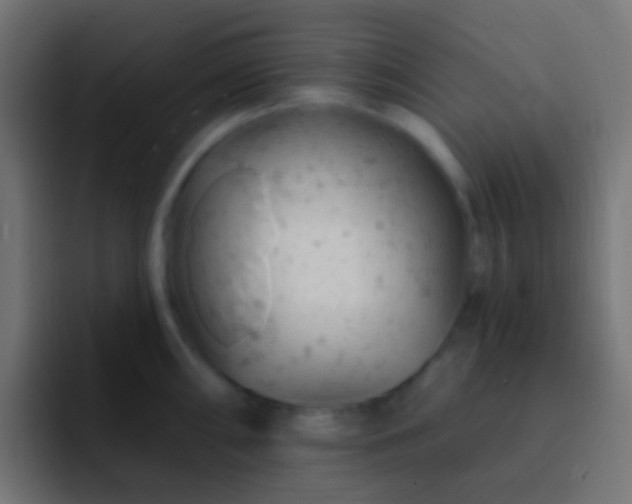 X0000093171098200710031459