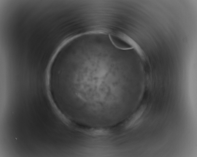 X0000093171099200710031459