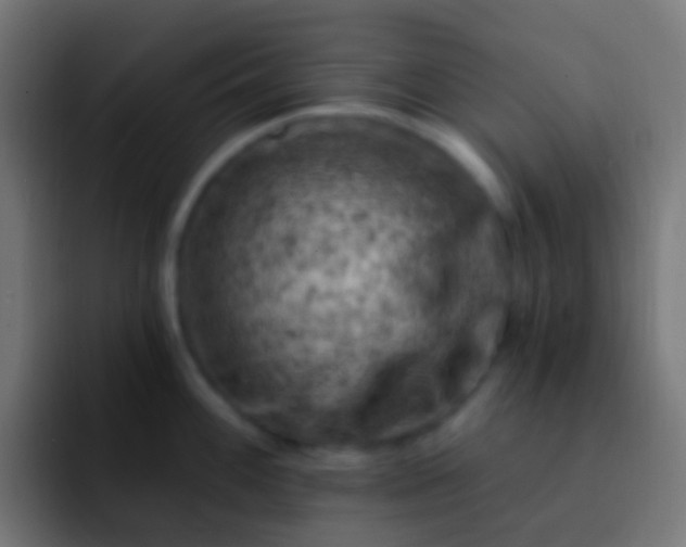 X0000093171100200710031459