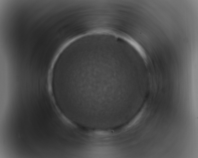 X0000093171102200710031459