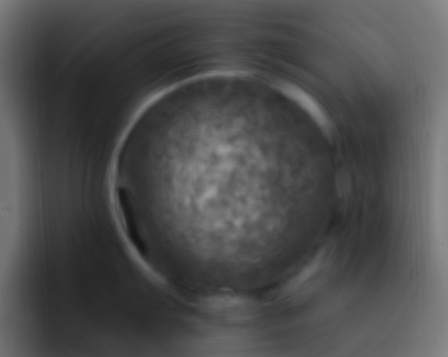 X0000093171103200710031459