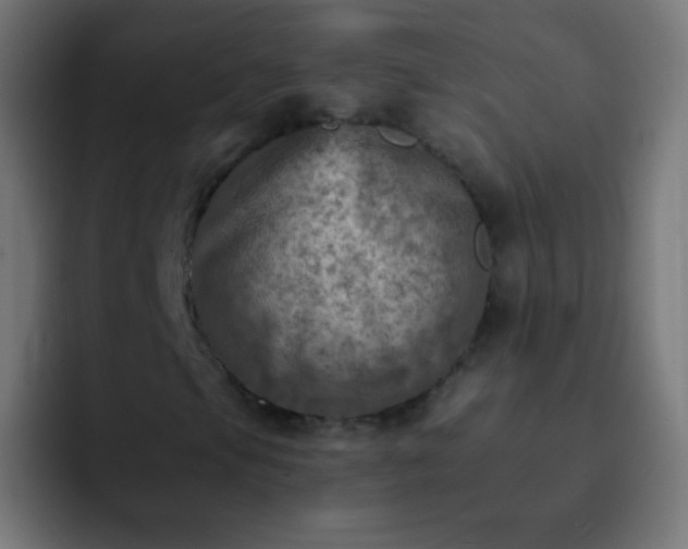 X0000093171105200710031459
