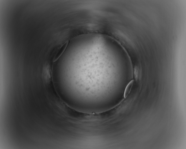 X0000093171107200710031459
